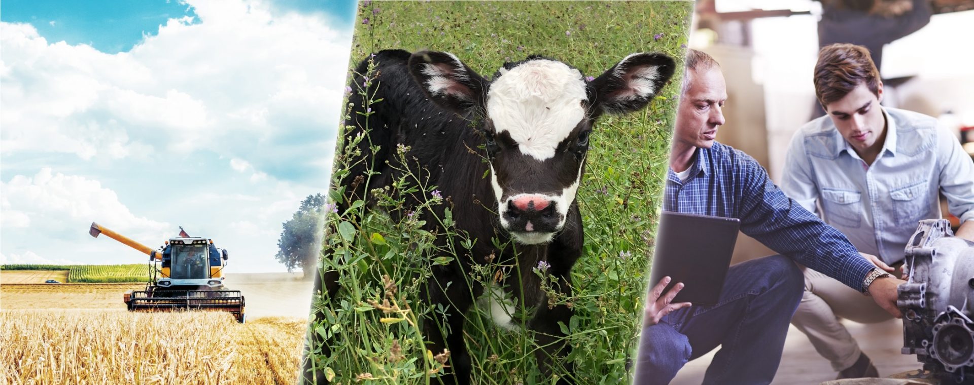 Succession, Asset Protection & Estate Planning Specialists Australia Helping you protect what you've worked for and plan for the future